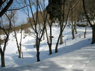 b0108100_2239258.gif