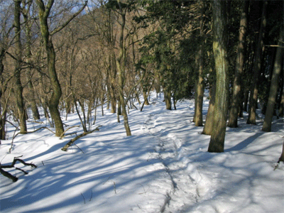 b0108100_22402025.gif