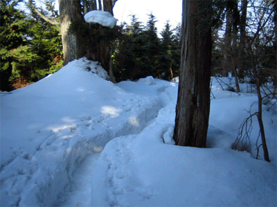 b0108100_22404926.gif