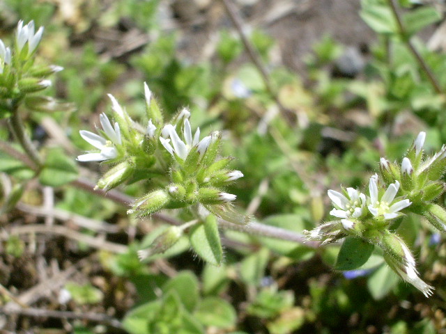 e0025300_17392947.jpg