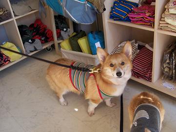 c0126703_165869.jpg