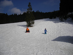 a0081406_033261.jpg