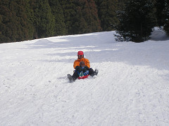 a0081406_034914.jpg