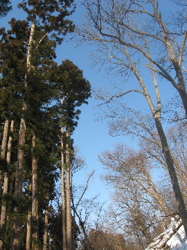 f0041606_20345149.jpg