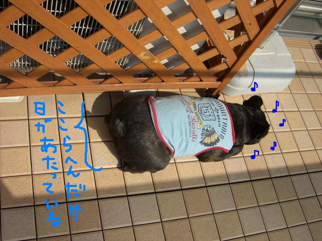 c0113109_22155212.jpg