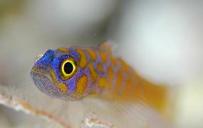 b0120510_1642078.jpg
