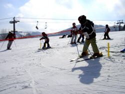 e0058118_7435722.jpg
