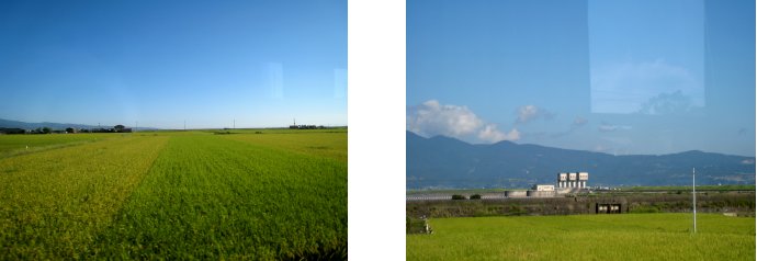 c0051620_711547.jpg