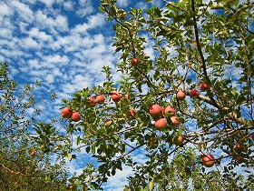 e0002820_23424829.jpg