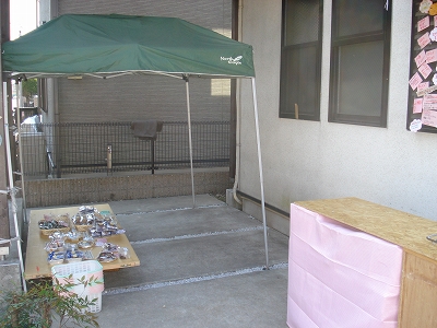 b0087822_95529.jpg