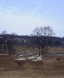 f0022024_1718203.jpg