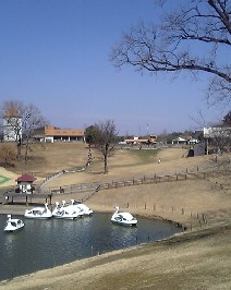 f0022024_1718636.jpg