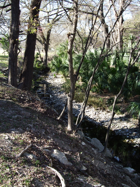 e0052725_104672.jpg