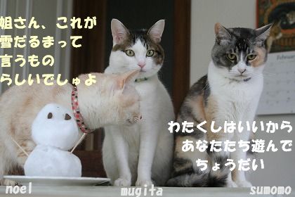 f0063729_1223914.jpg