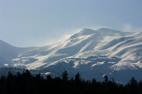 e0025030_1713748.jpg