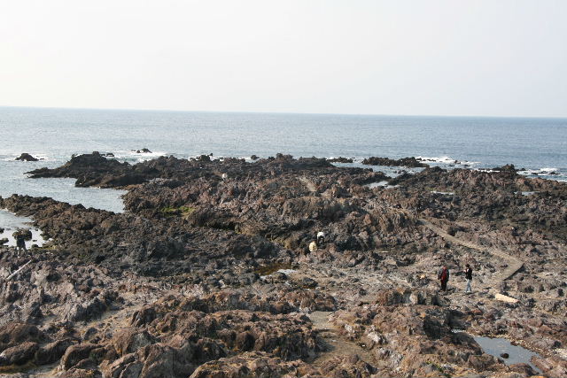 e0064133_20494794.jpg