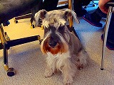 c0153740_1623129.jpg