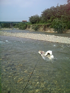 e0143442_21513485.jpg