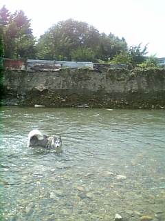 e0143442_2151395.jpg