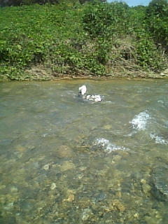 e0143442_2153118.jpg