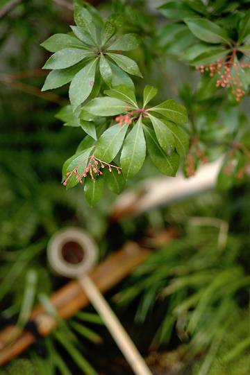 d0008146_02162.jpg