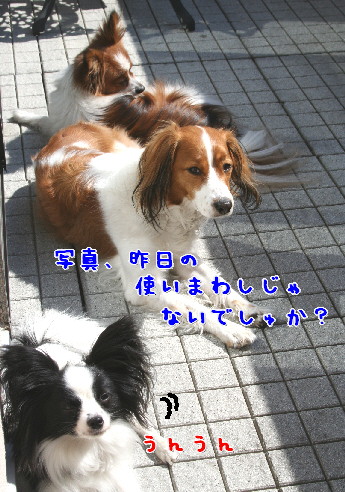 d0013149_2304639.jpg