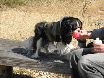c0145250_160352.jpg