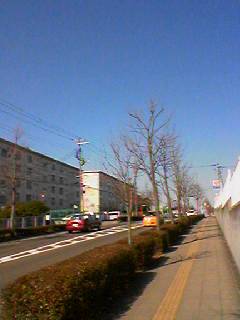 c0003752_9375263.jpg