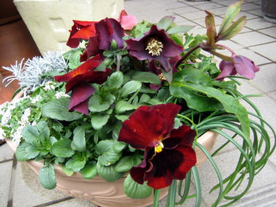 c0147952_20503532.jpg