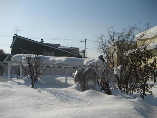 a0075455_8573015.jpg