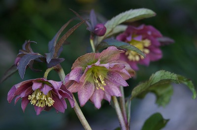 b0083855_2275395.jpg