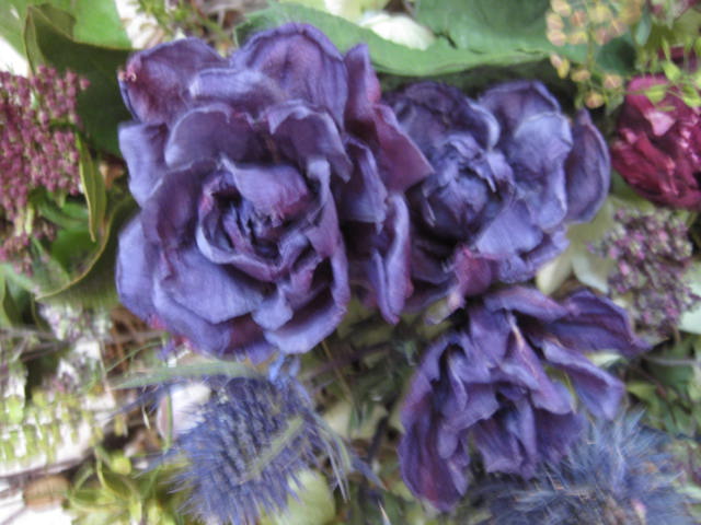 e0116960_1610271.jpg