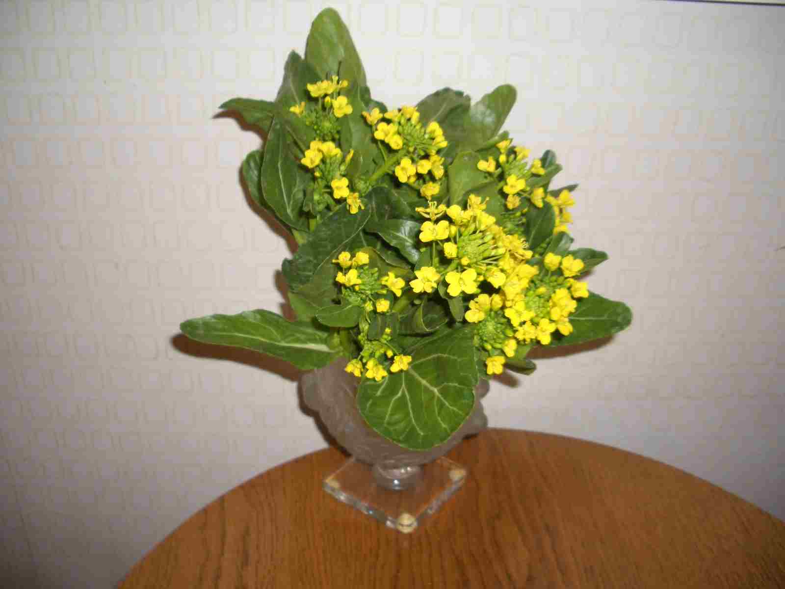 e0133362_1629289.jpg