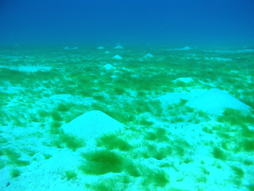 b0062363_20534158.jpg