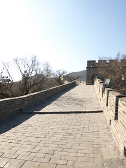 c0102268_1815413.jpg