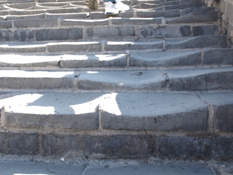 c0102268_1832880.jpg