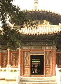 c0102268_19222913.jpg