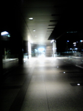 c0102375_227532.jpg