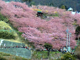 e0022175_1914452.jpg