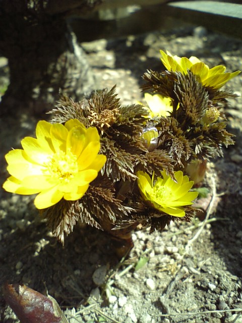 c0124776_64855.jpg