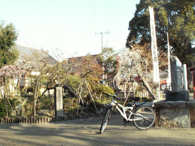 a0060882_21584322.jpg