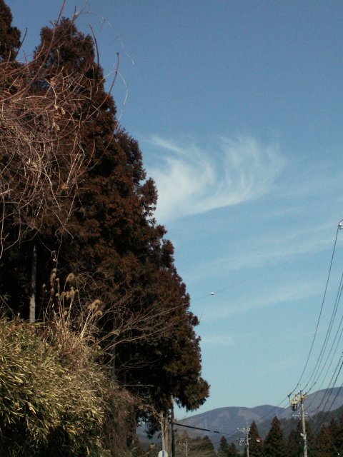 a0060882_2223263.jpg
