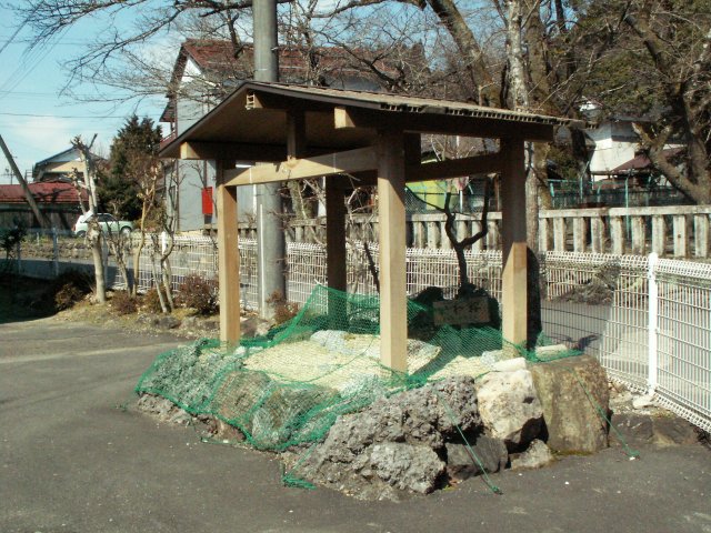 a0060882_223590.jpg