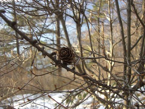 c0106084_073475.jpg
