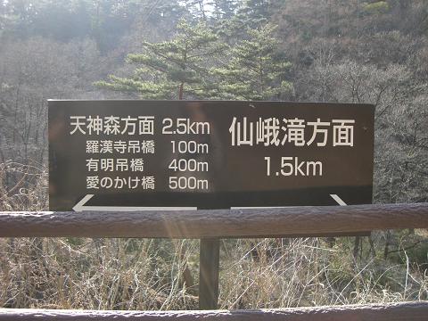 c0106084_082046.jpg