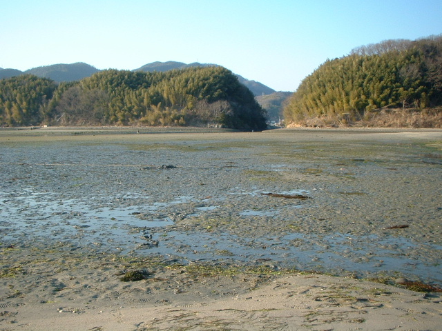 e0060485_14594389.jpg