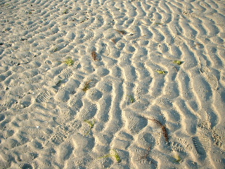 e0060485_15171860.jpg