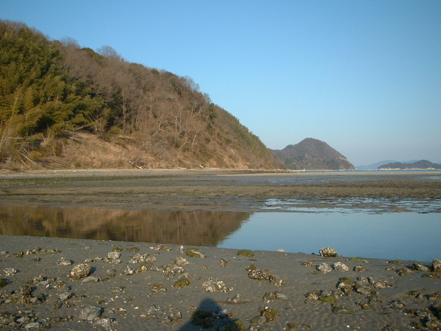 e0060485_1585637.jpg