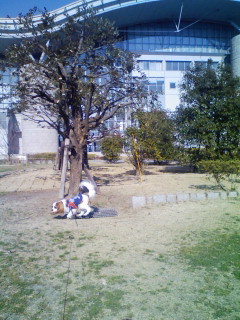 d0044986_13391812.jpg