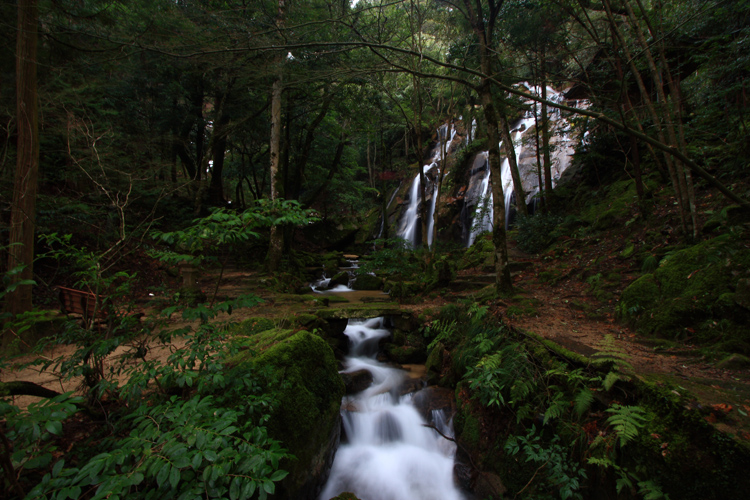e0051888_19203317.jpg